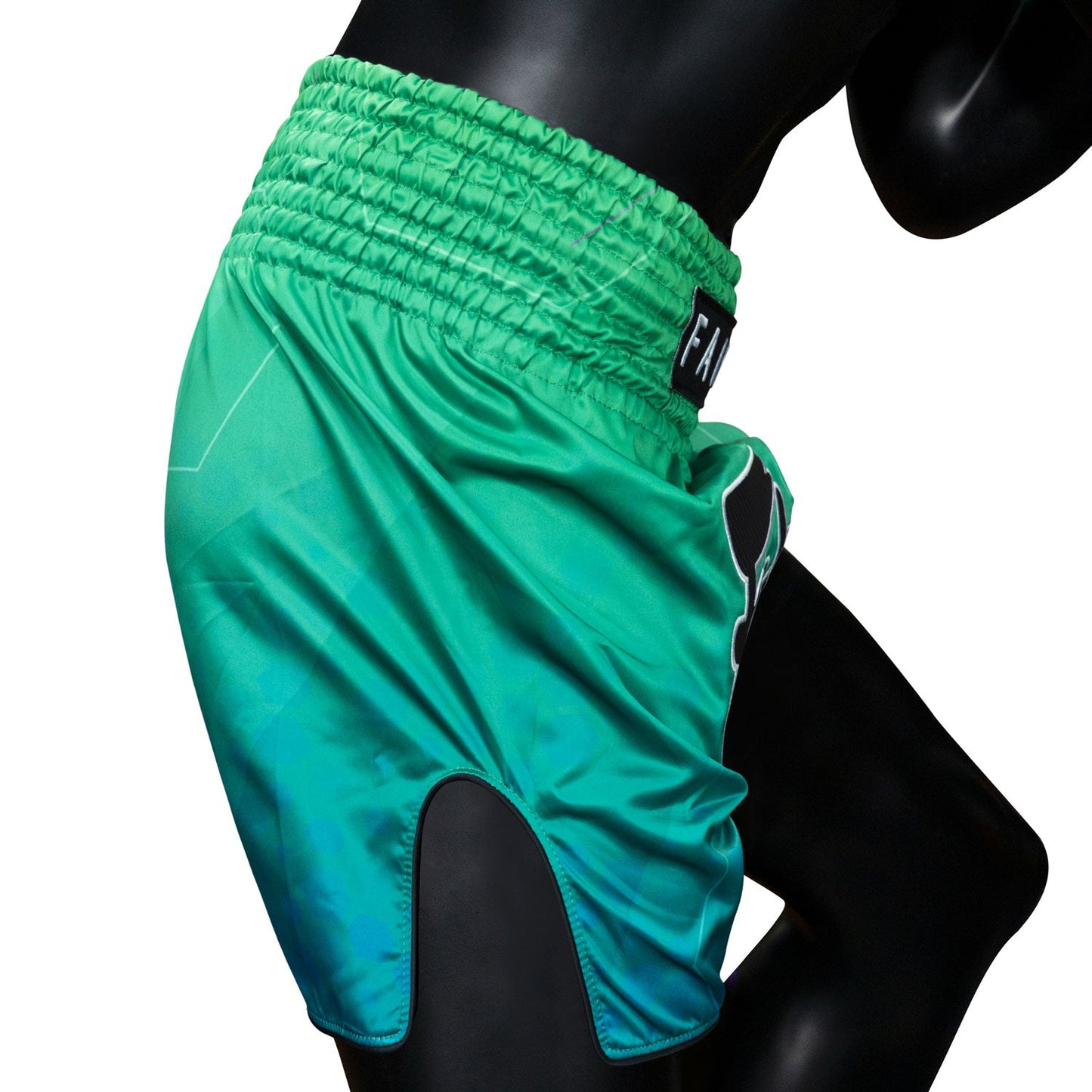 Fairtex Quantum Muaythai Shorts