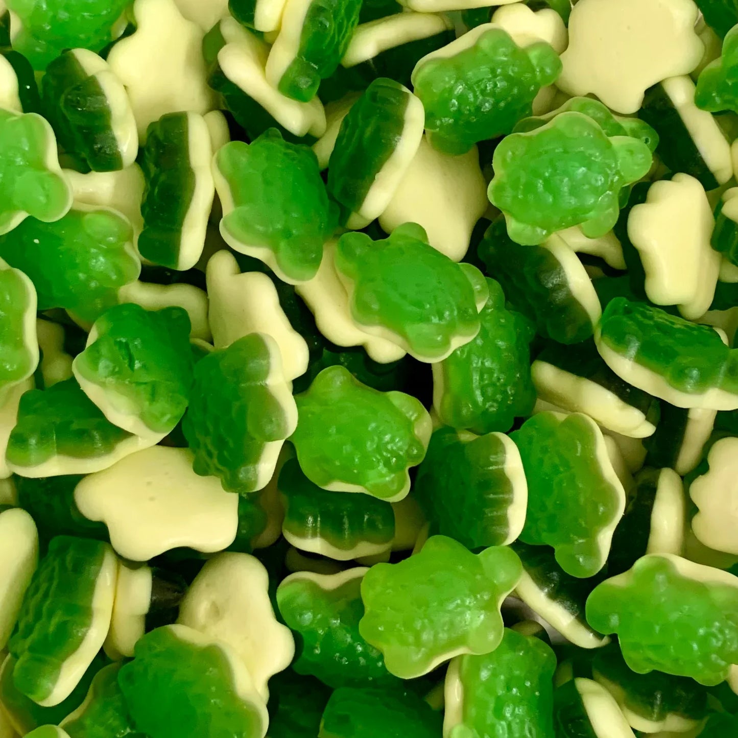 Green Turtles Sweets Bag
