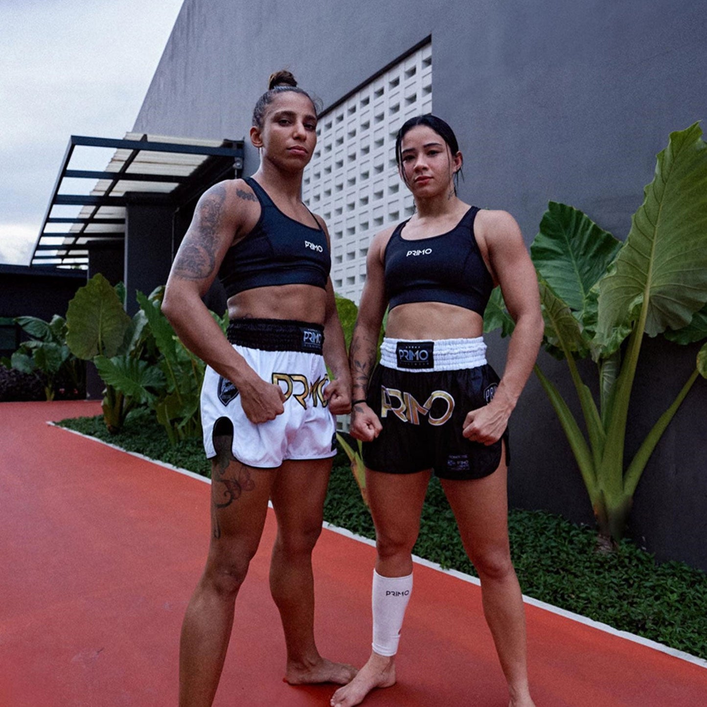 Primo Muay Thai Boxing Air Sports Bra - Black