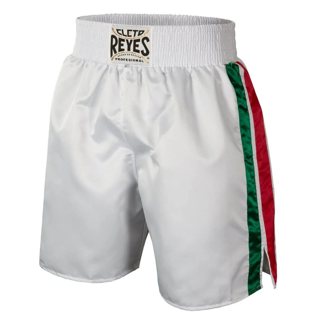 Cleto Reyes Satin Boxing Shorts - White Green Red Stripe