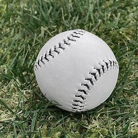 Rudy Leather Rounders Ball