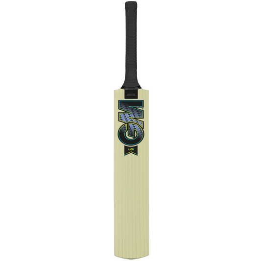 Gunn & Moore GM Aion Kashmir Willow cricket bat with a natural wood finish and a sturdy handle, ready for cricket play.
