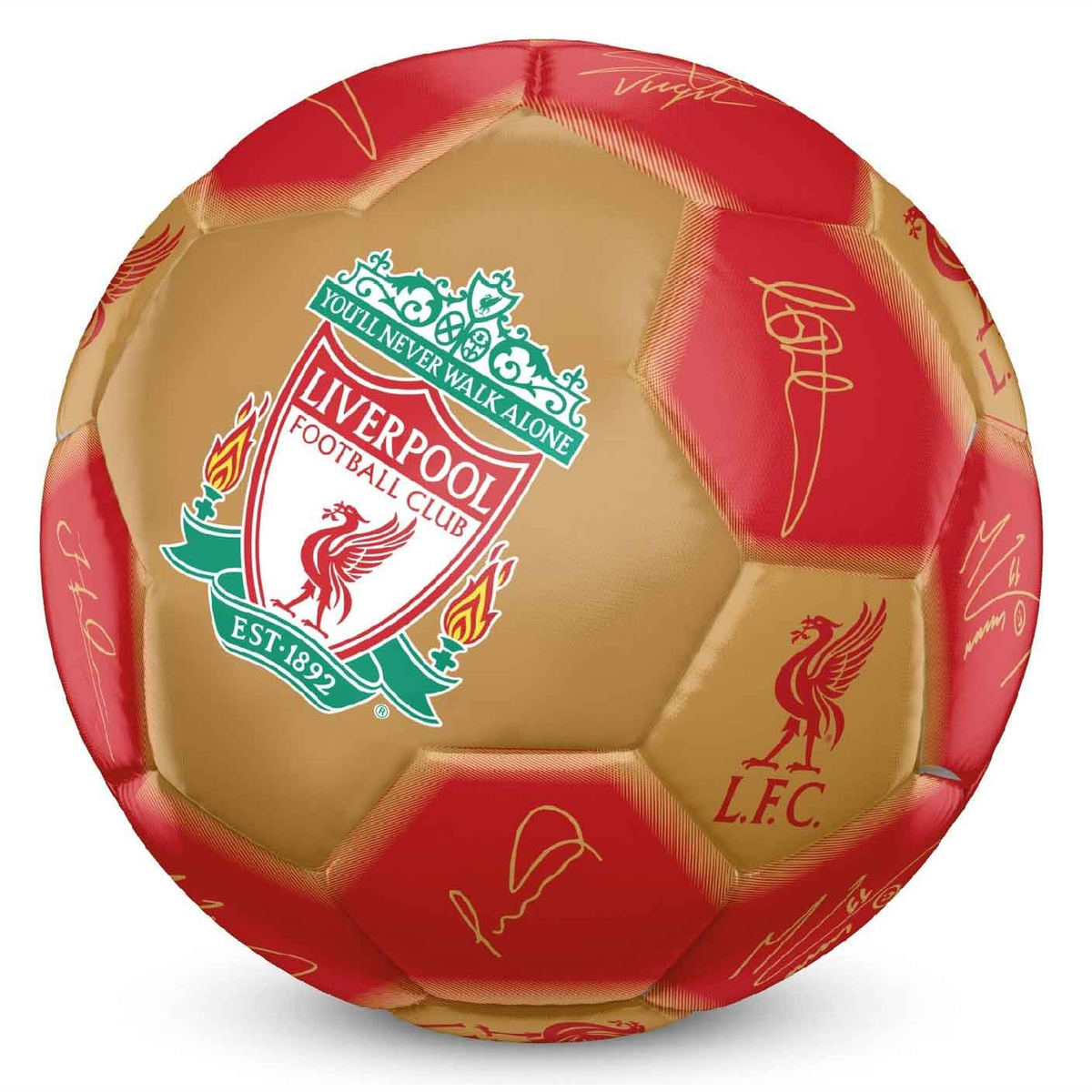 Team Merchandise size 5 signature football with 26 panel design, sporting goods football for team play and practice.