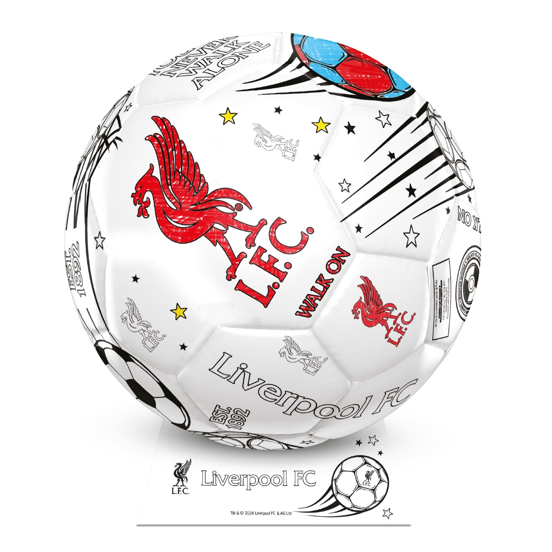 Team Merchandise Colour In Ball, a sporting goods ball designed for team activities with vibrant colors and durable material.