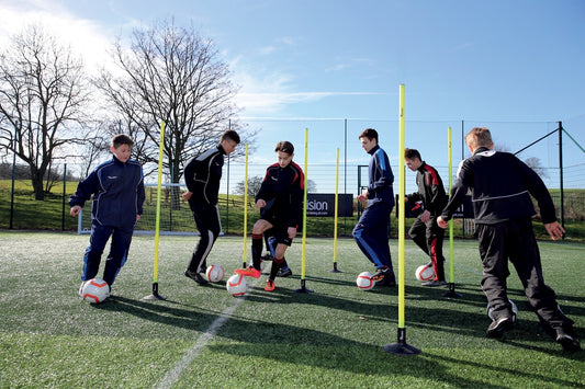 Precision Mini Boundary Poles Set of 12