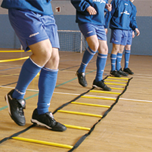 Precision Indoor Weighted Ladder - Yellow/Black