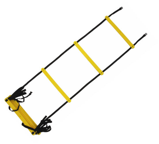 Training Ladder Including Bag