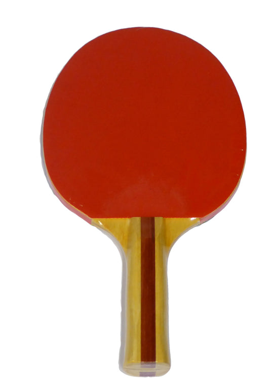 Lion Tt Bat 120 Reverse