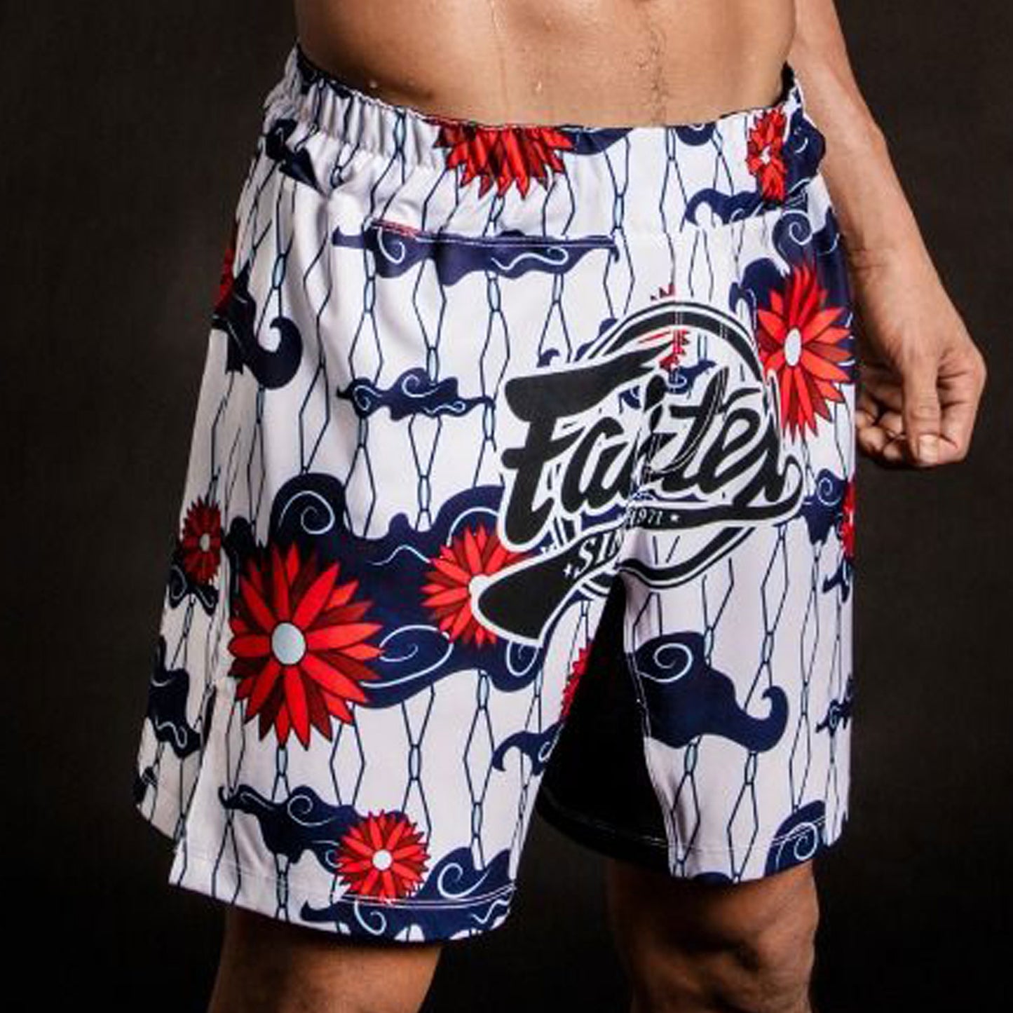 AB18 Fairtex MMA Board Shorts Deep Passion