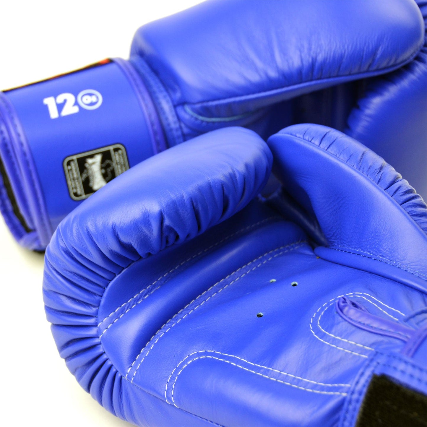 Twins Muay Thai Boxing Gloves Blue