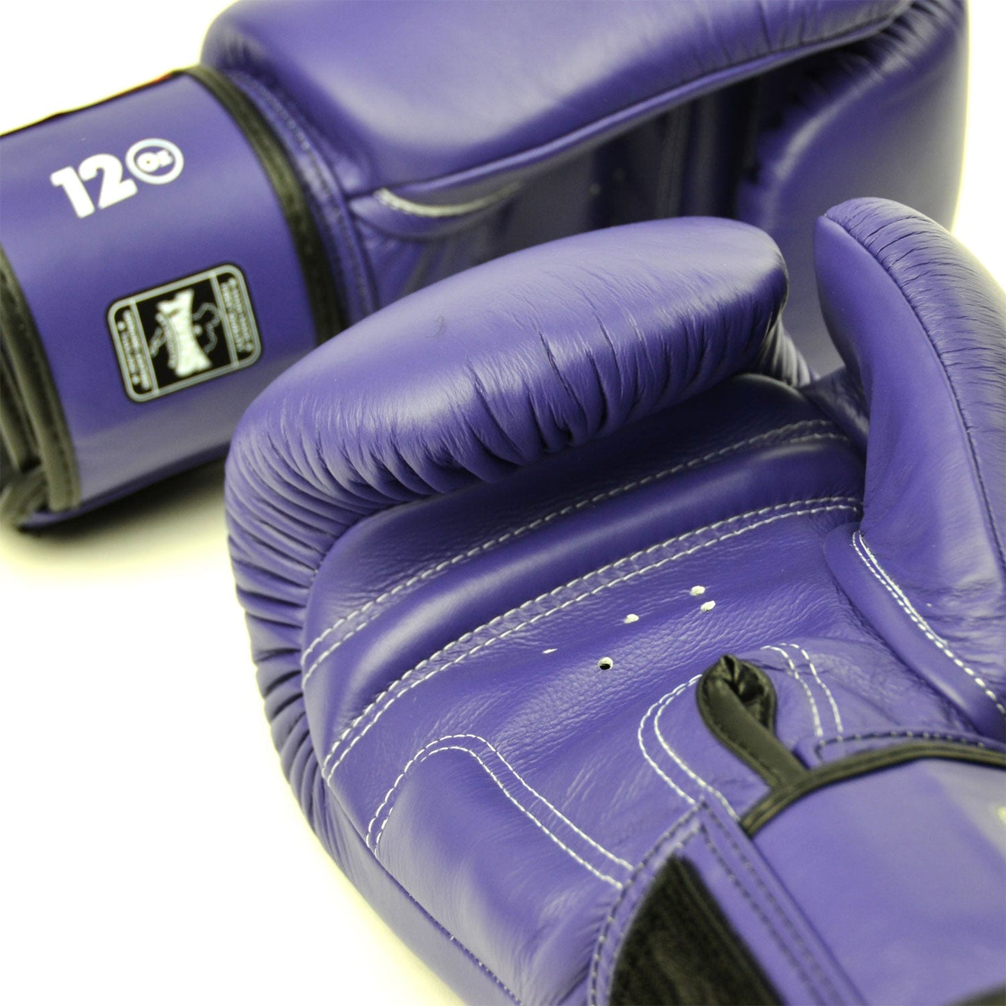 Twins Muay Thai Boxing Gloves Purple