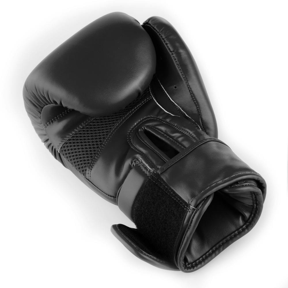 Blitz Omega Boxing Gloves