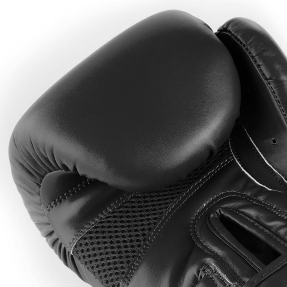 Blitz Omega Boxing Gloves