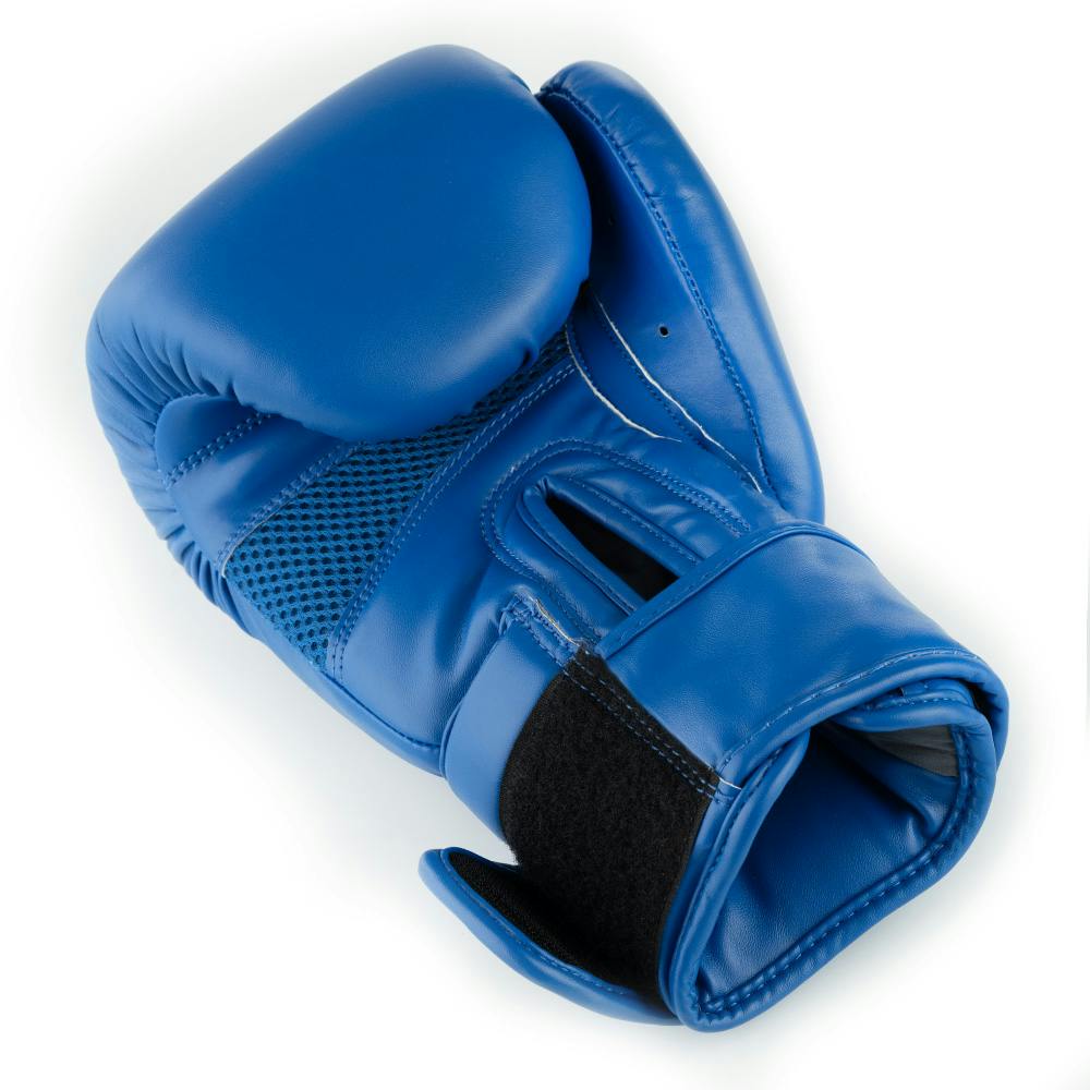 Blitz Omega Boxing Gloves