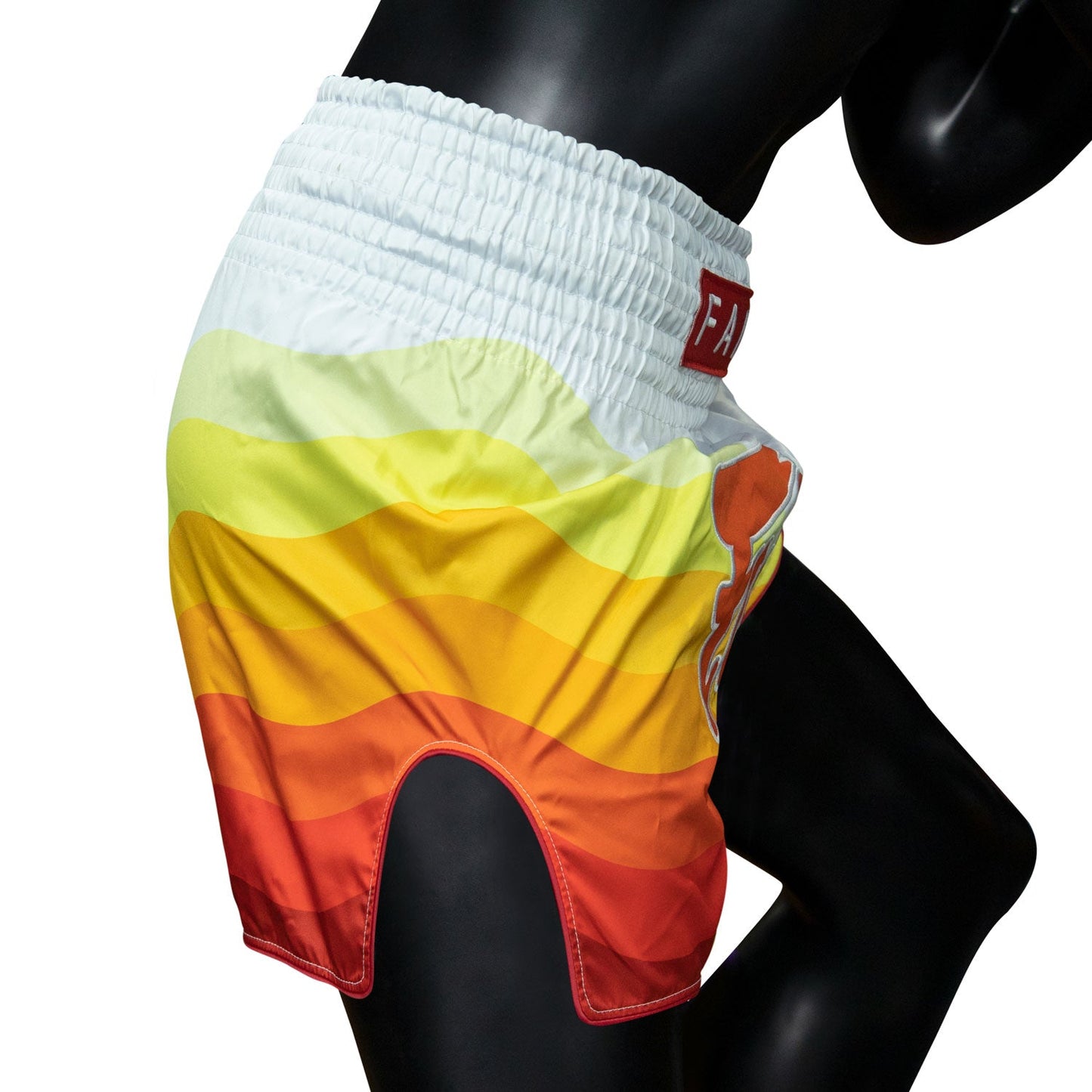 Fairtex Spectrum Muay Thai Boxing Shorts