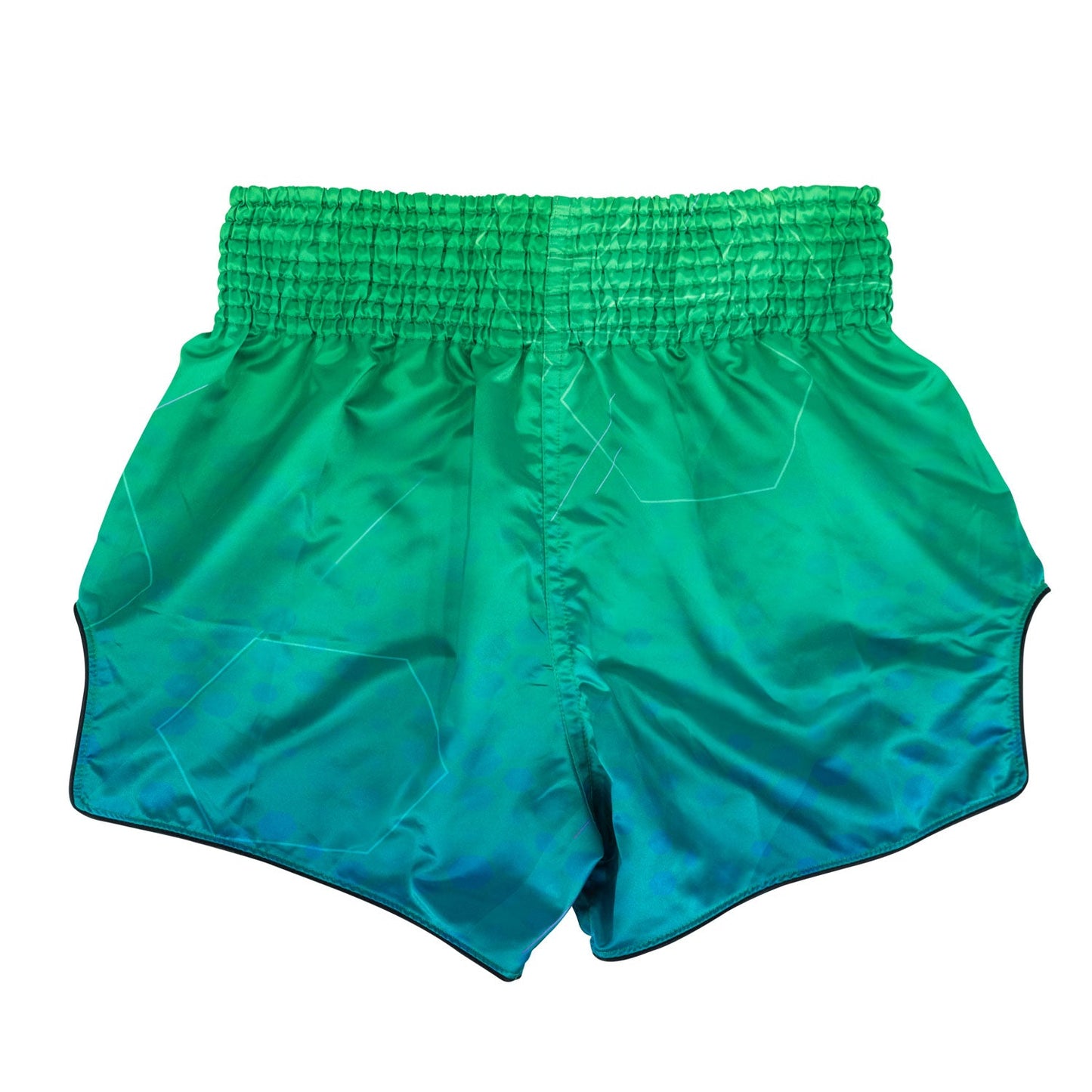 Fairtex Quantum Muaythai Shorts