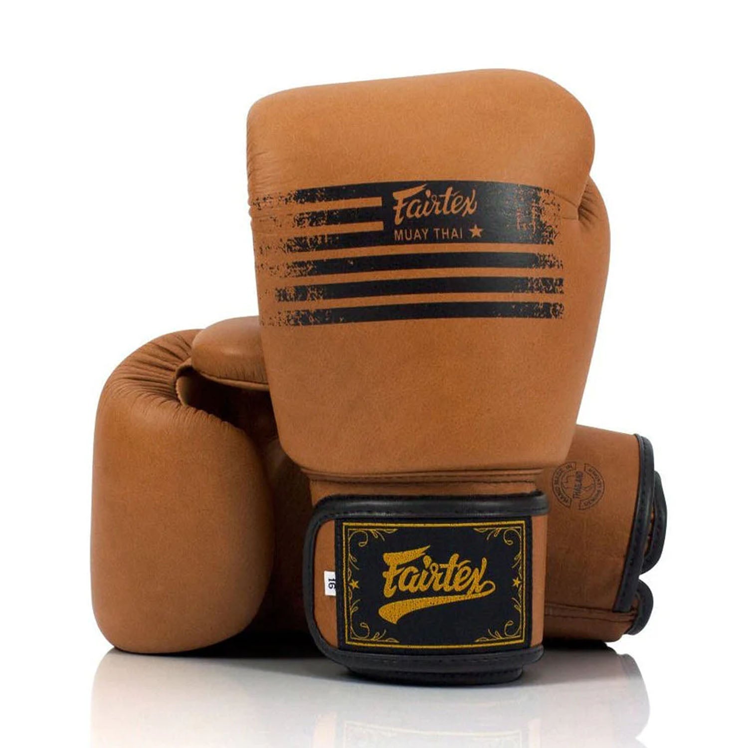 Fairtex BGV21 Legacy Boxing Gloves