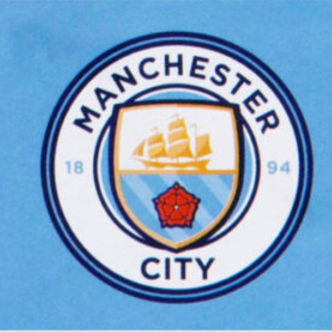 Team Merchandise 5x3 ft Core Crest Flag