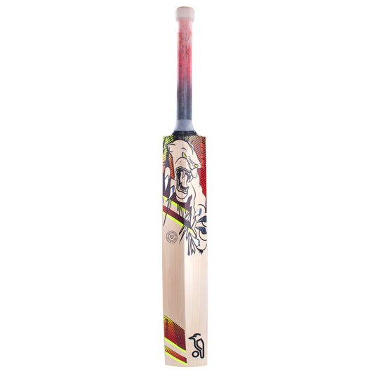 Kookaburra Cricket Bat Beast 6.2 (Eng.Willow)-Full Size