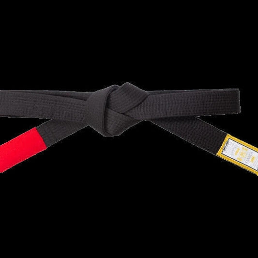 Scramble Tanren V4 BJJ Belt White Blue Purple Brown Black